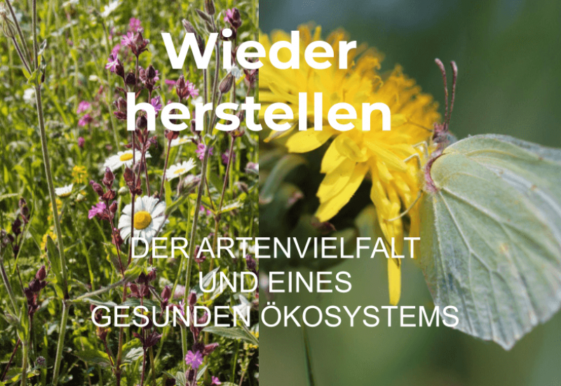 Unbenannte Präsentation(3)(1)