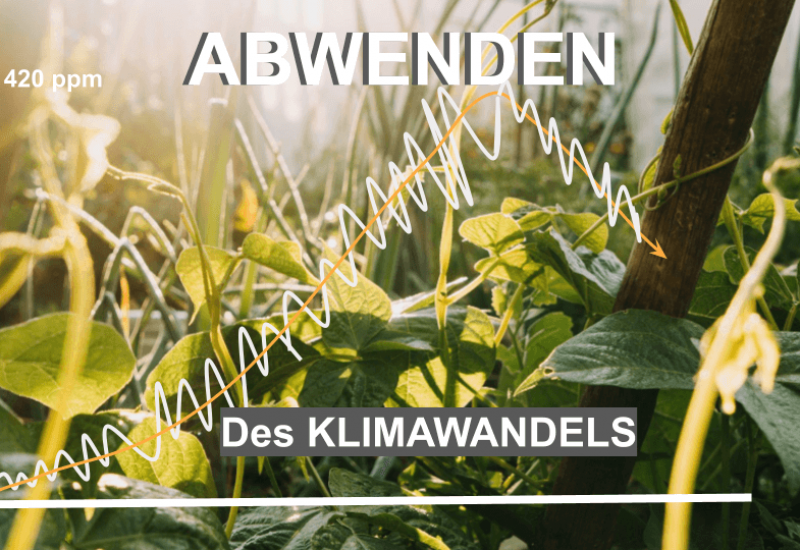 Unbenannte Präsentation(5)